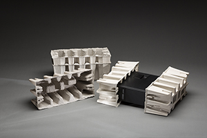 Dell Computer Molded Fiber Packaging by Molded Fiber Technology (MFT)